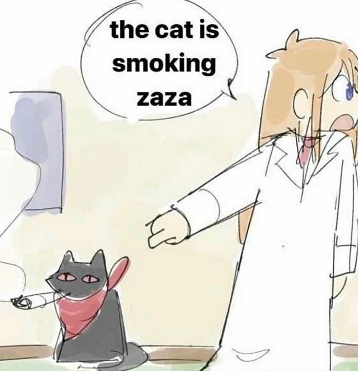 Gatozaza